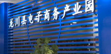 縣工信局主動(dòng)對(duì)接粵港澳大灣區(qū)，以產(chǎn)業(yè)共建與電商平臺(tái)開發(fā)助推縣域經(jīng)濟(jì)高質(zhì)量發(fā)展