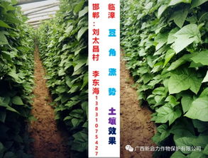 新啟力肥料,產(chǎn)品競(jìng)爭(zhēng)力無可比擬